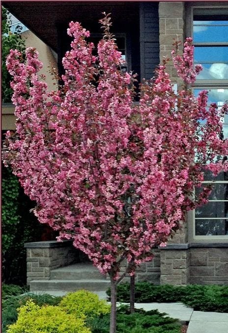 <span style="font-weight: bold;">СКОРО В ПРОДАЖЕ </span>