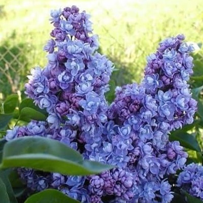 Небо Москвы Небо Москвы